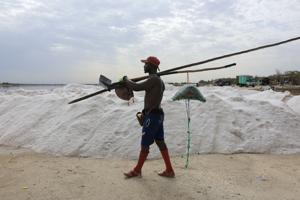 Senegal's 'Pink Lake' recovers its rosy hue, reviving salt trade