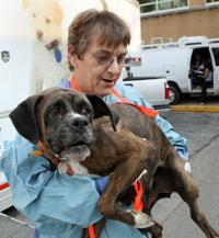 Missouri lawmakers go against own districts on Prop B