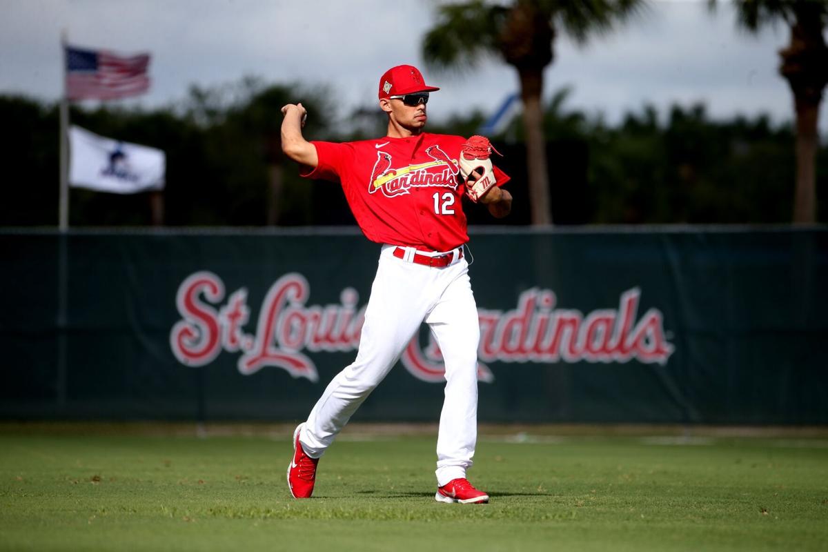 Photos: St. Louis Cardinal start day 6 of team workouts in Jupiter