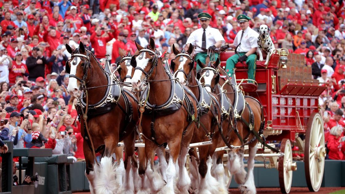Scenes from 2019 Cardinals opening day | St. Louis Cardinals | 0