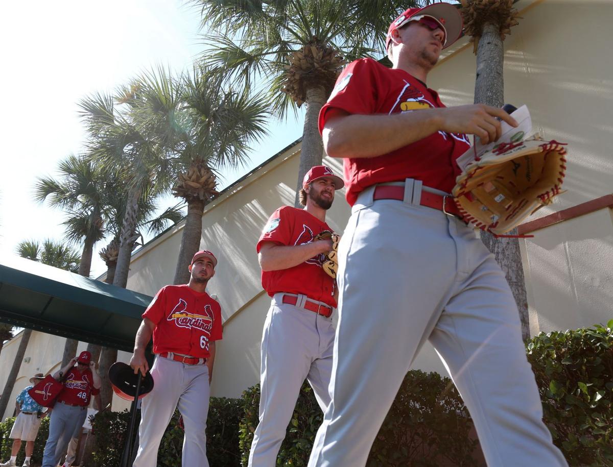 Full Squad Workouts begin at Cardinals Spring Training St. Louis