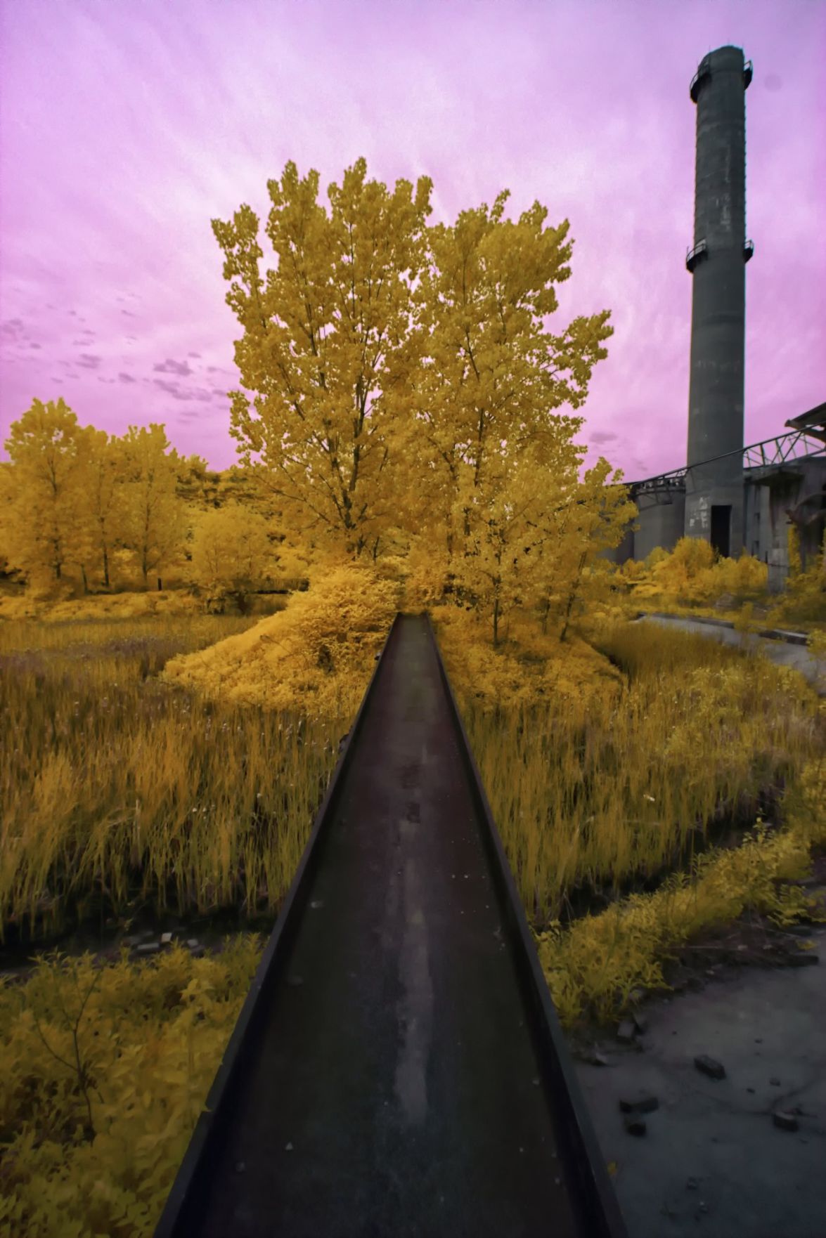 Family plans to finish what Cementland creator started Metro