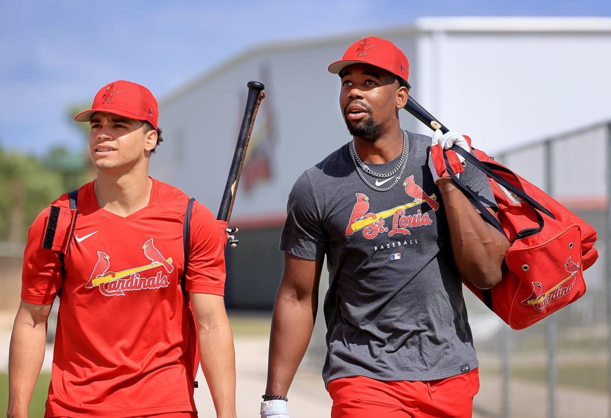 St. Louis Cardinals spring training, Wednesday