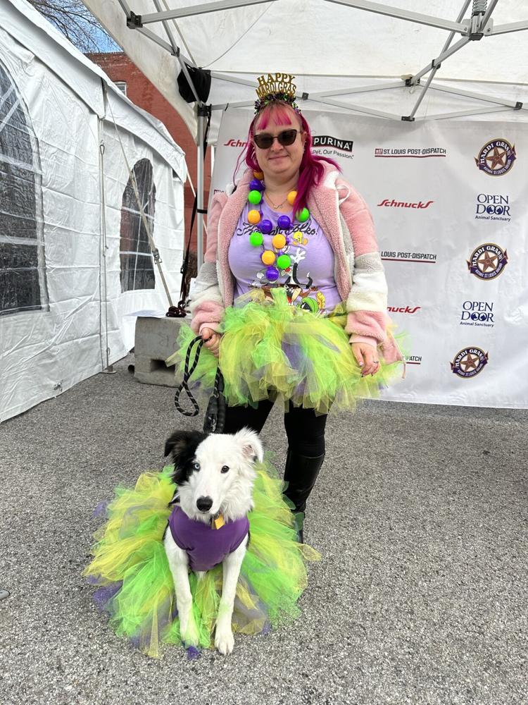 Check out scenes from the 2024 Purina Pet Parade