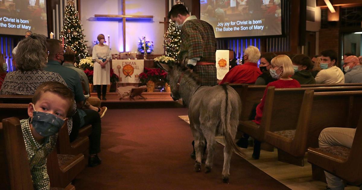 St. Louis County business, animals bring Nativity scenes to life | Local Business