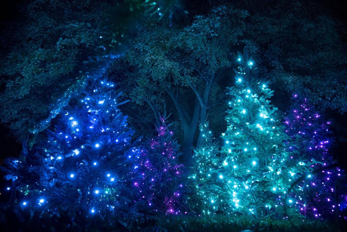 Iparty Garden Glow At Missouri Botanical Garden Holidays Stltoday Com