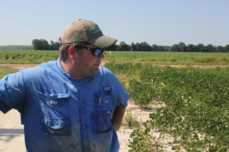 Herbicide Dispute