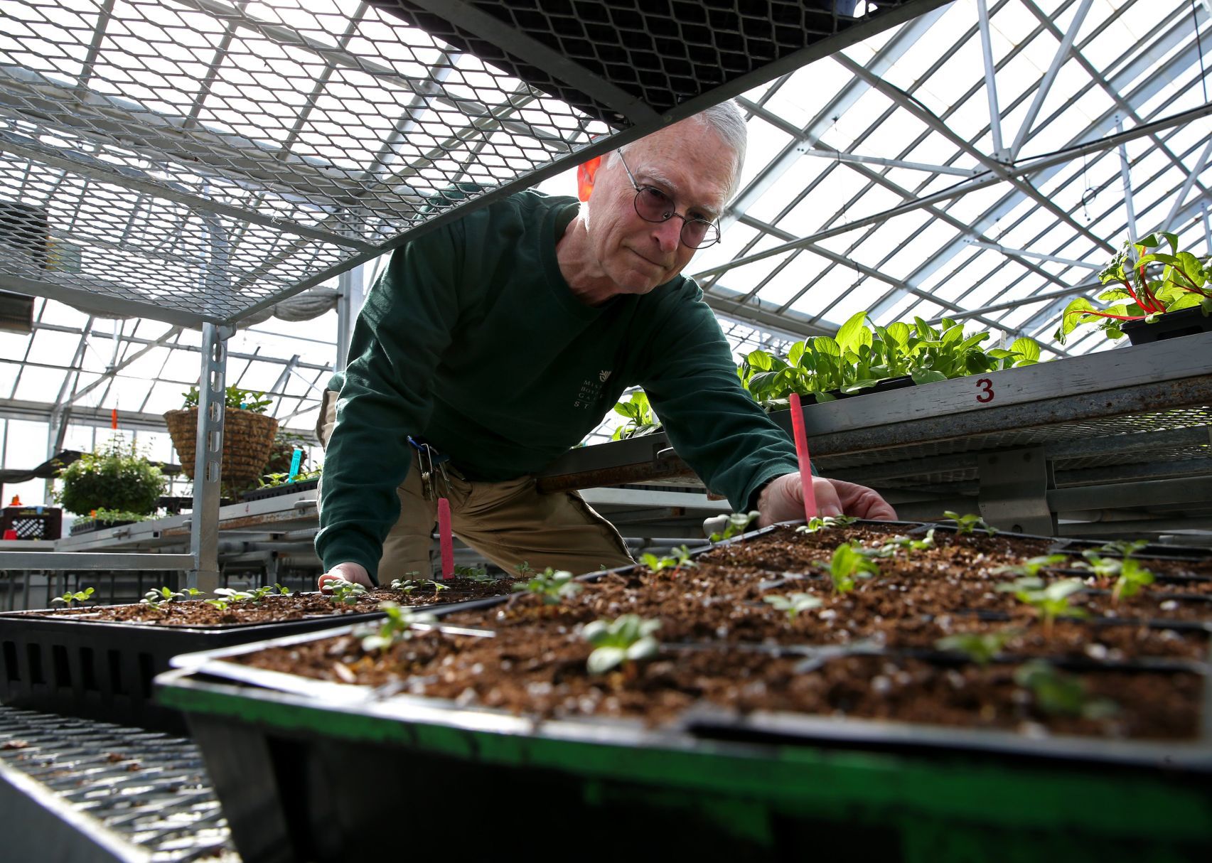 horticulturist