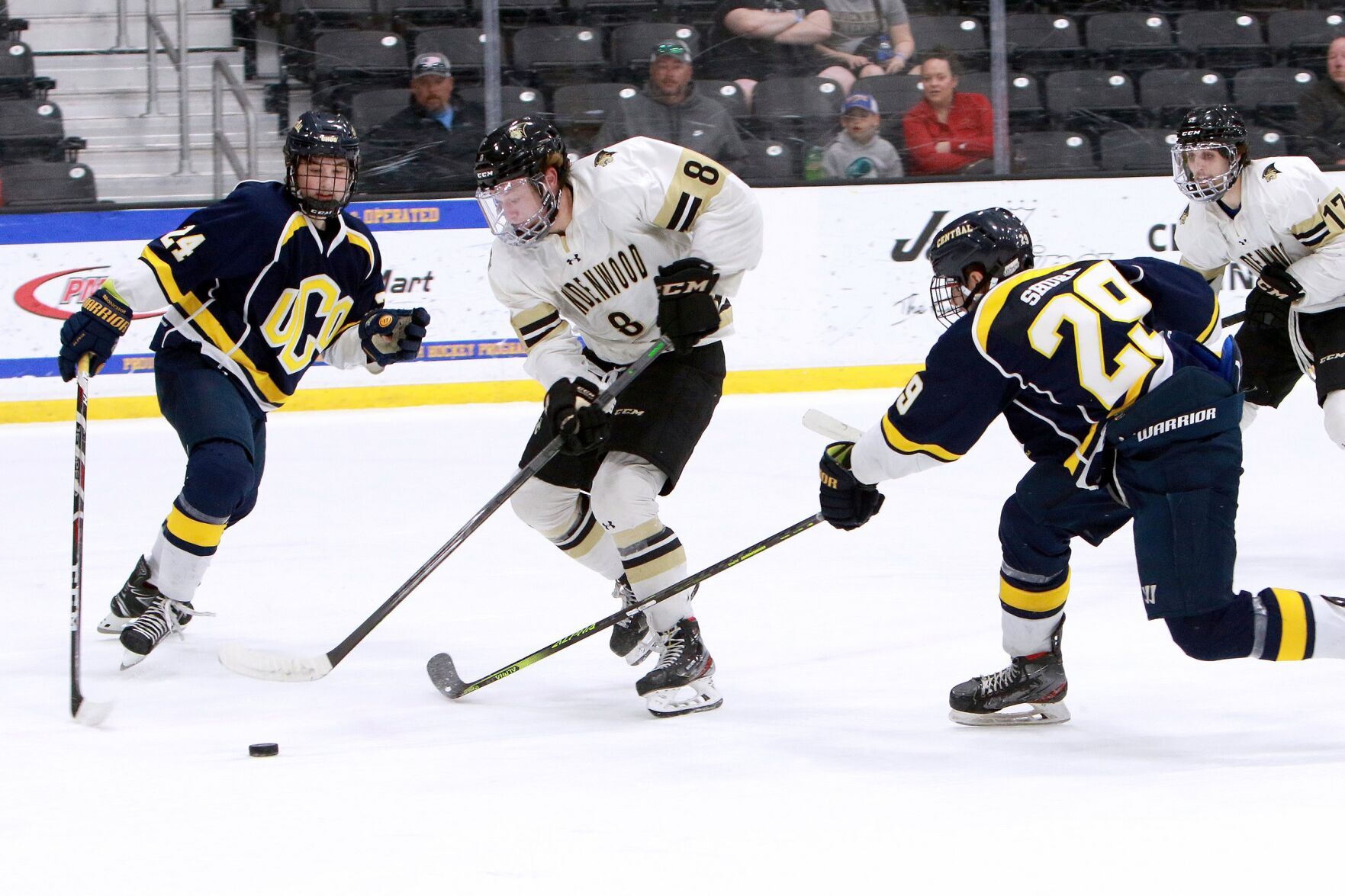 Area colleges notebook Lindenwoods jump to NCAA Division I will include hockey