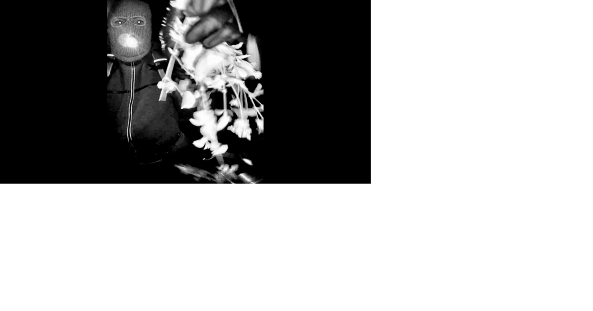 Authorities released images of a masked, armed person tampering with a door camera at Nancy Guthrie’s Tucson home the day she vanished.