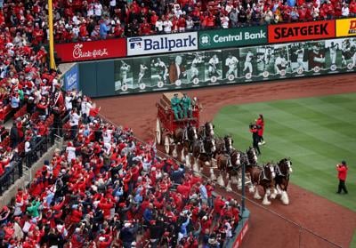 2024 Busch Stadium home opener, Miami Marlins vs ӣƵ Cardinals (copy)