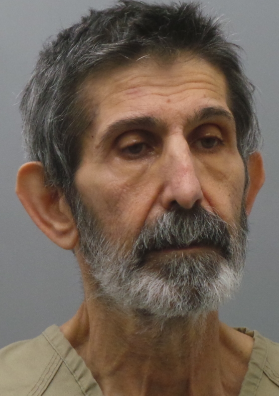 Ballwin man guilty in killing of sister gets probation