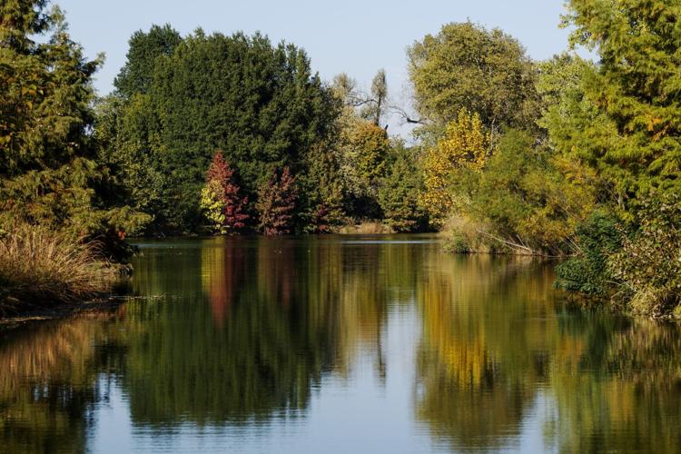 Falls colors transform St. Louis