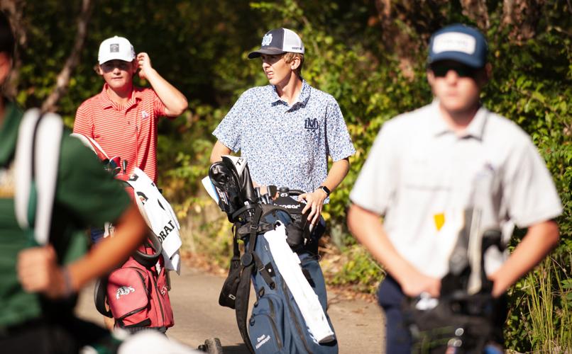 Class 1A Gibault boys golf sectional tournament