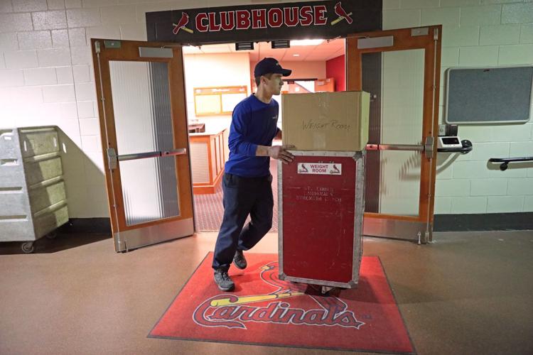 Cardinals Clubhouse