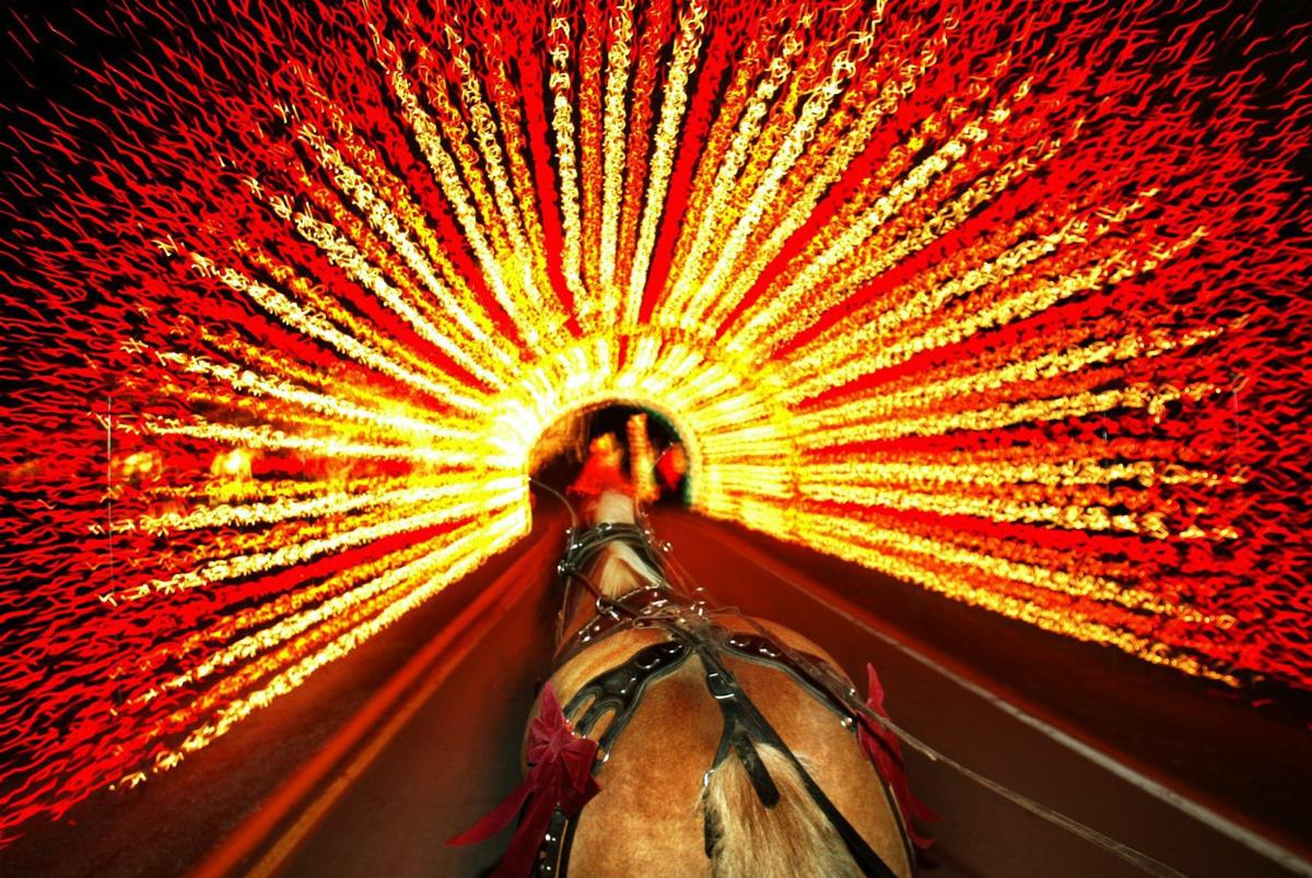 Horse Drawn Carriage Rides In Tilles Park Halted After Lawsuit By