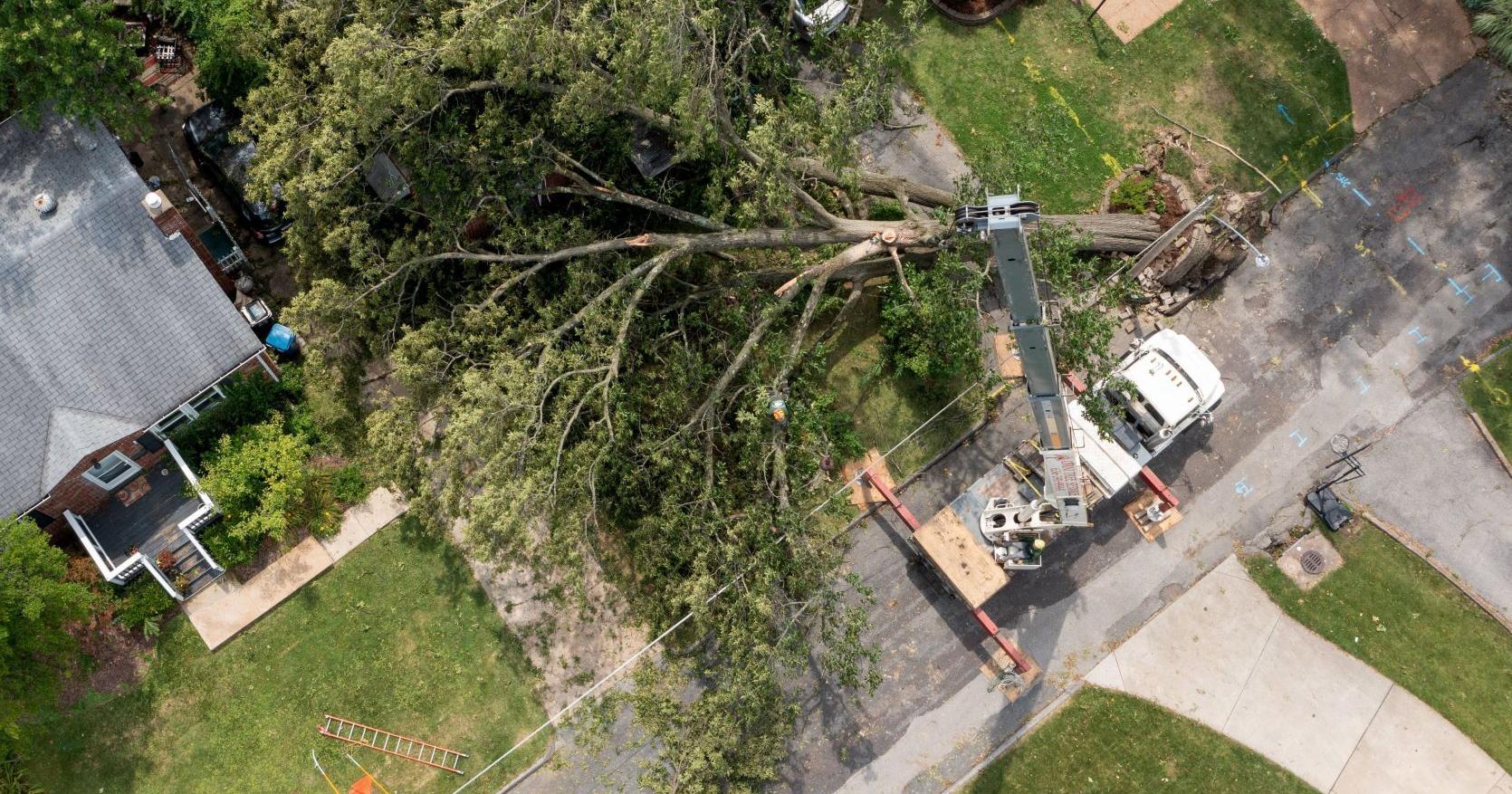 13,000 still without power in Missouri. 'I'm just so livid.' - Vimarsana News