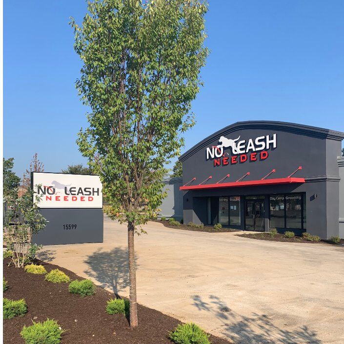 Local dog resort chain opening new location in Ellisville