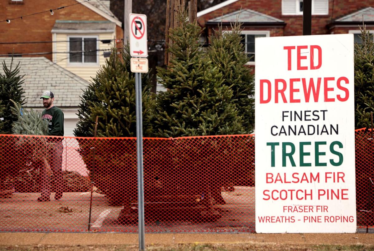 Six recovering after driver plows into patrons at Ted Drewes lot