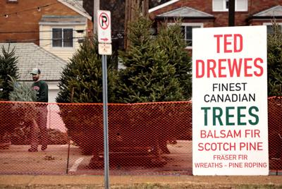 Six recovering after driver plows into patrons at Ted Drewes lot