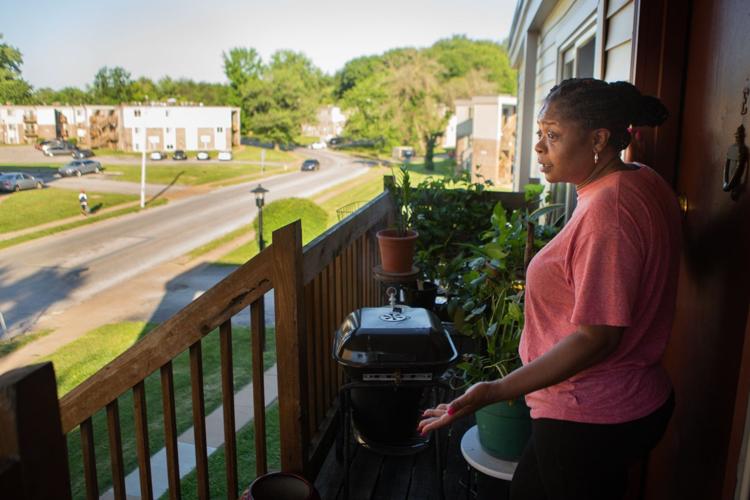 New owners of Canfield Green Apartments in Ferguson say a pleasant view is coming