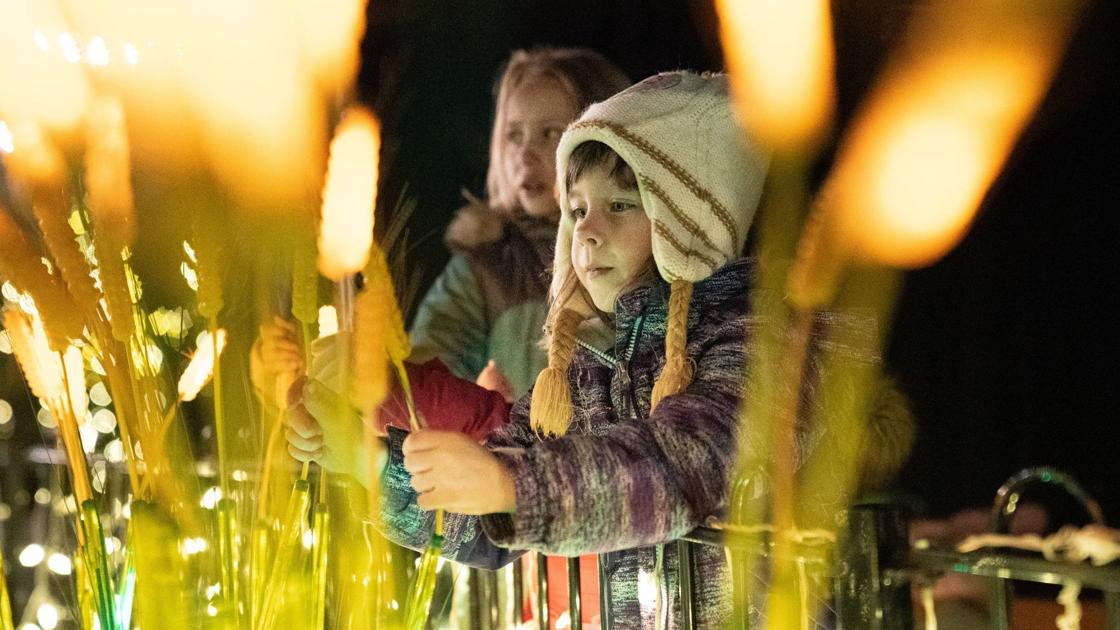 Photos: St. Louis Zoo shines during Wild Lights display | Holidays | www.waldenwongart.com