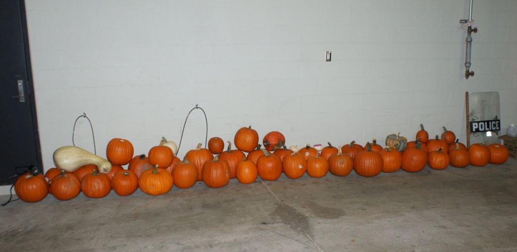 Maryland Heights Pumpkin Lineup
