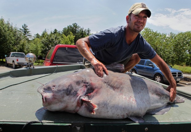 Florissant man catches record-setting catfish in Missouri River