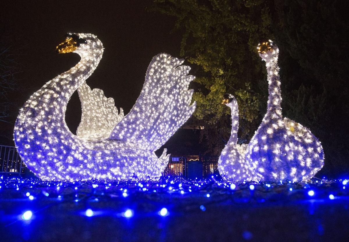 There S Still Time To Enjoy Displays Of Holiday Lights Hot List