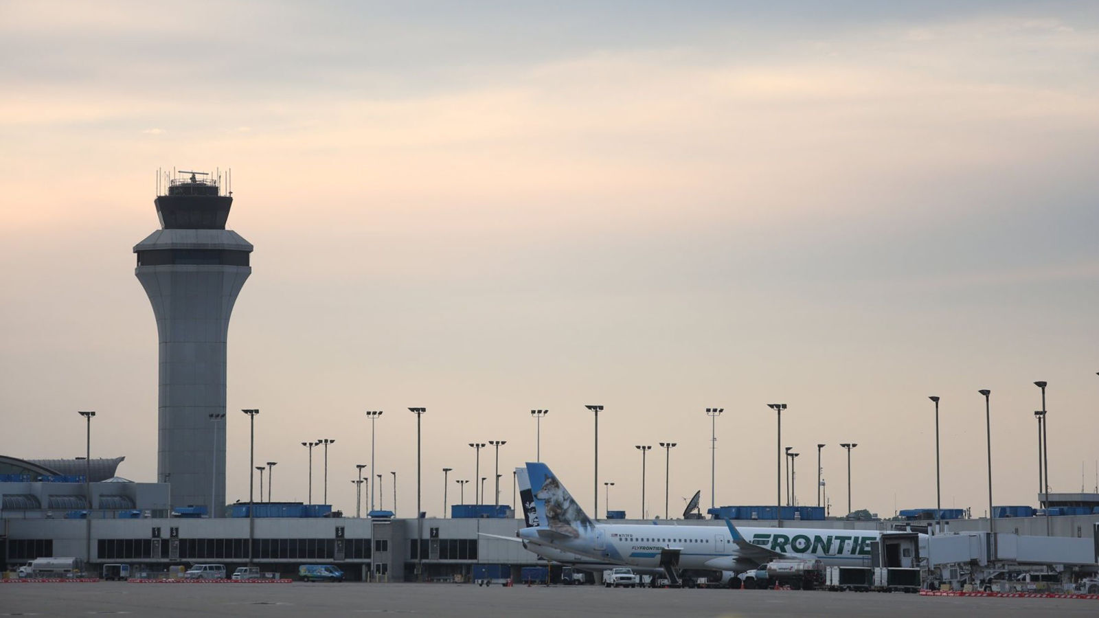 Plane grounded after striking birds at St. Louis Lambert