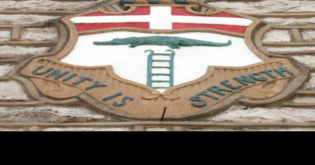 Alligators, lions and ladders