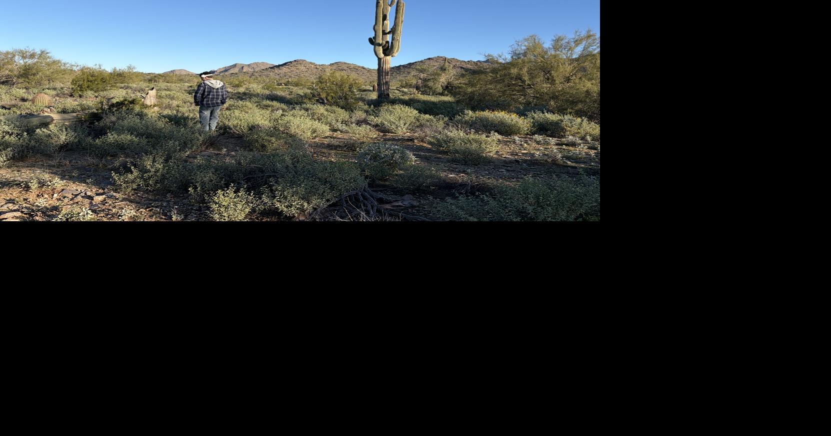 From sunrise hikes to desert thrills: Adventures await in Scottsdale