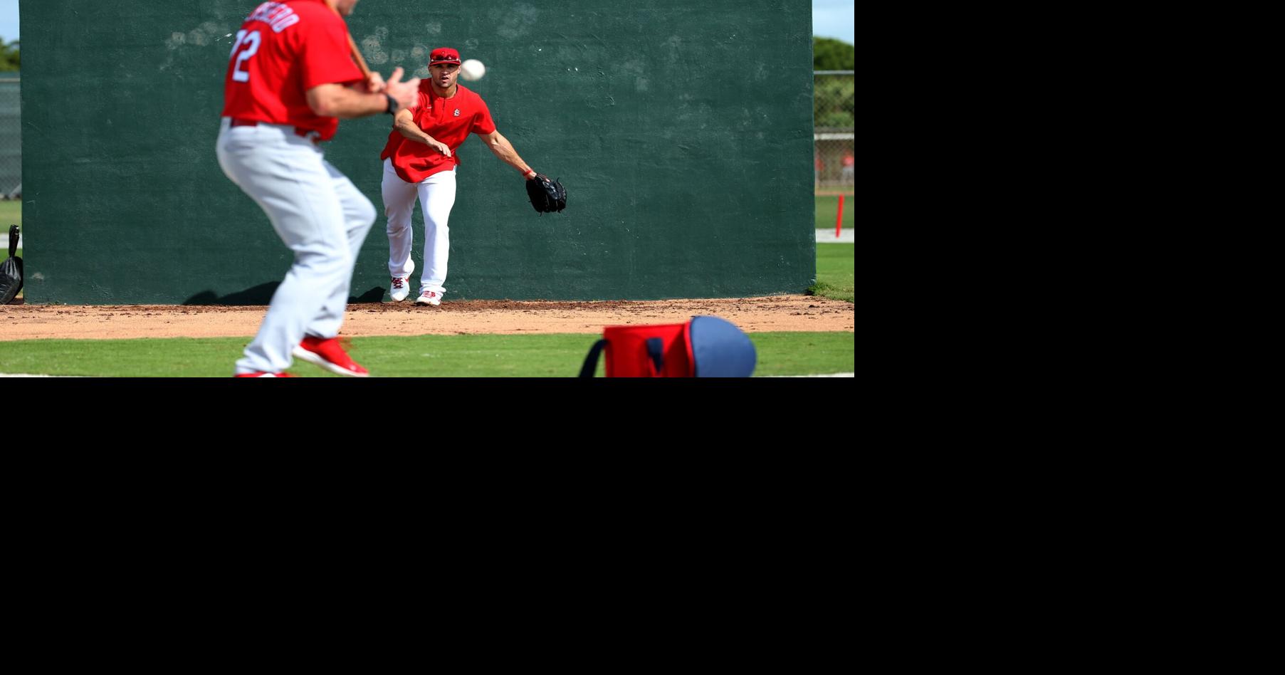 Jack Flaherty St. Louis Cardinals Autographed 16 x 20 Pitching in Blue Jersey Photograph