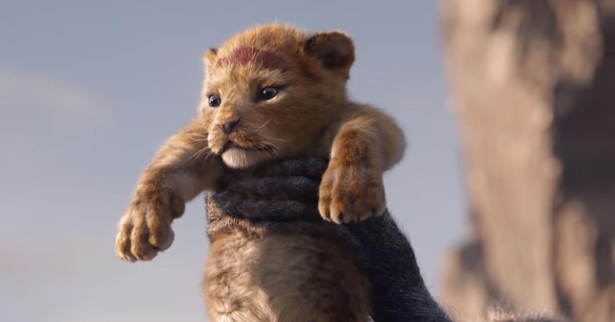 The Lion King Remake S Trailer Confuses The Internet Just What Is Live Action Anymore Movies Stltoday Com