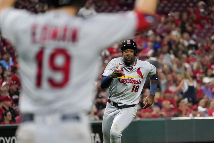 Harrison Bader writes column on Cardinals, St. Louis fans