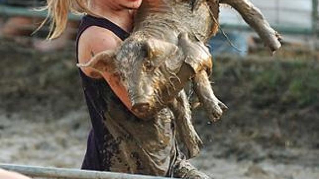 Greased pig scramble is good, clean, messy fun | Suburban Journals of