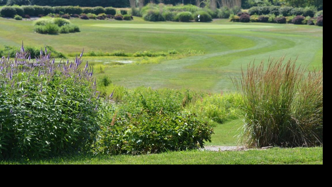 Eagle Springs Golf Guide