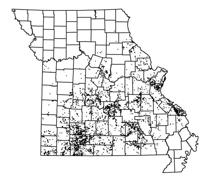 Blackfathom River Cave Among The Discoveries That Push Missouri S Cave   56a2a3b885f2f.image 