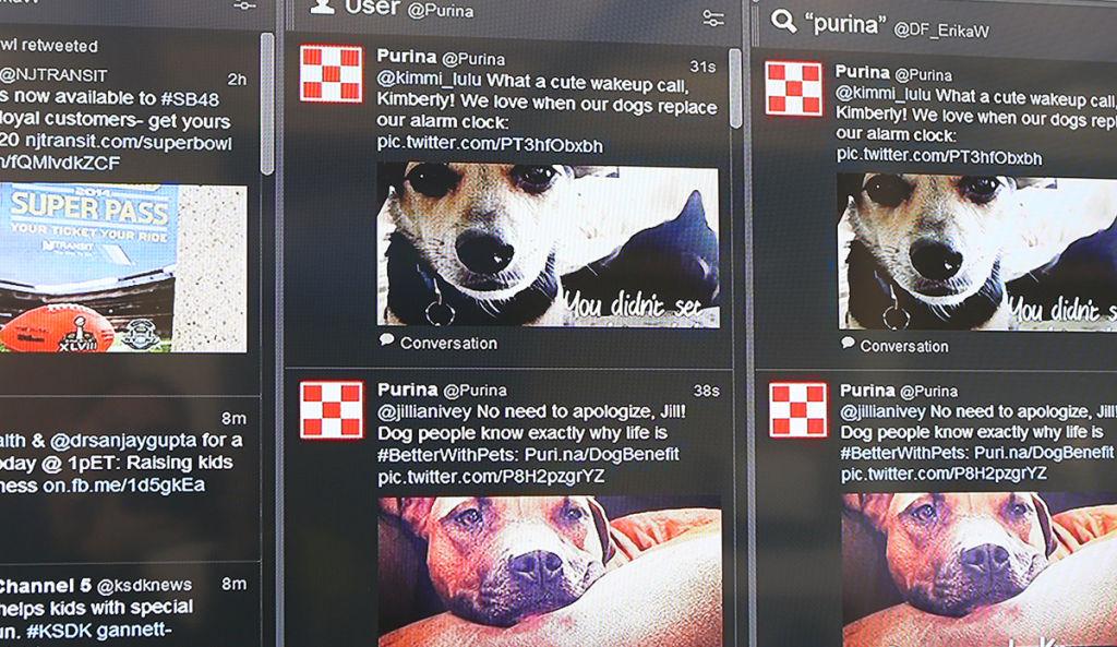 Purina Leads Pack With Personalized Social Media Local Business Stltoday Com