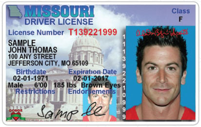 look up drivers license number fl