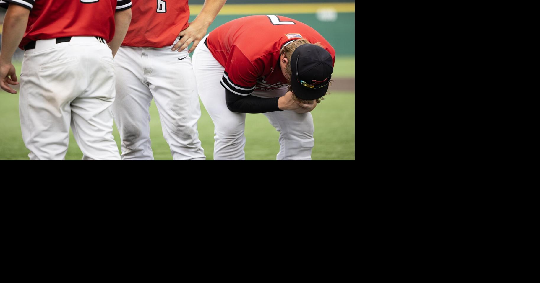 Class 3A baseball championship: Chicago St. Rita 12, Triad 11 (8)