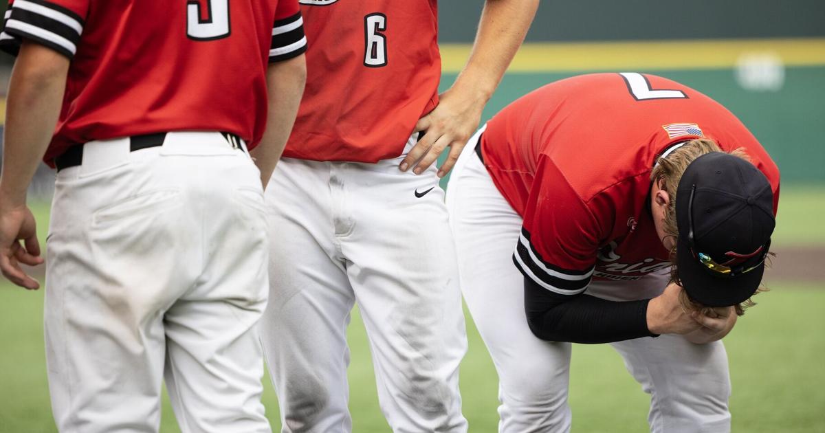 Class 3A baseball championship: Chicago St. Rita 12, Triad 11 (8)