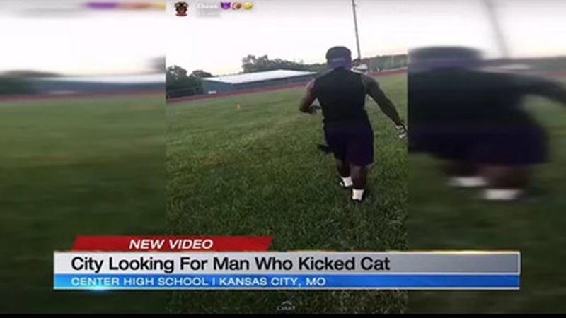 Video shows man kicking cat like a football in Kansas City