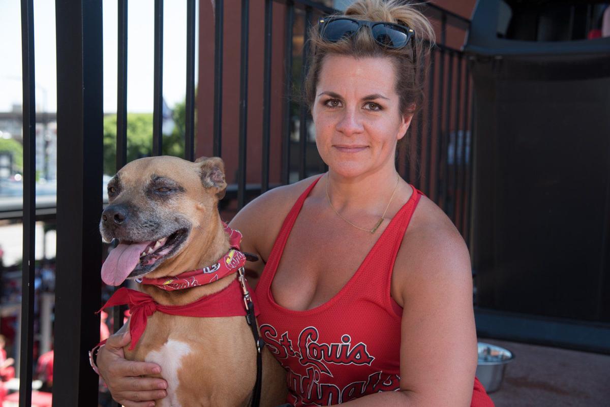 Purina Pooches in the Ballpark returns