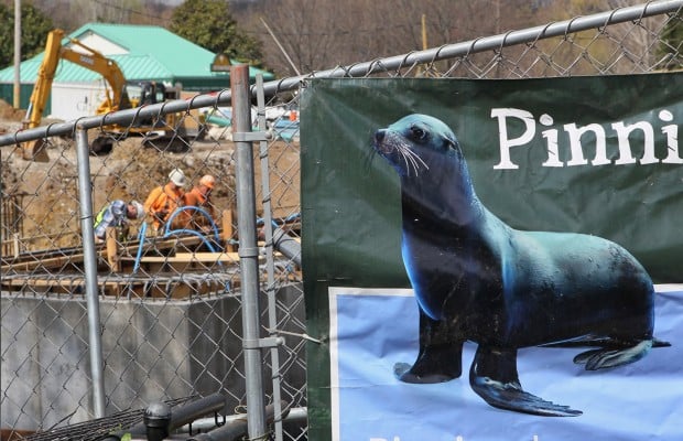 Designers cater to animals' needs for zoo's sea lion exhibit | Metro