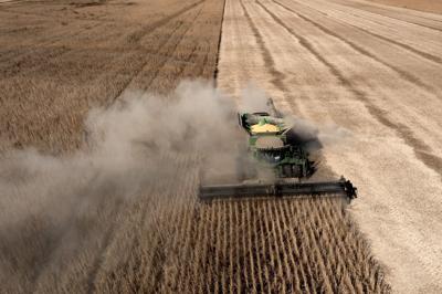 Soybean harvest in West Alton