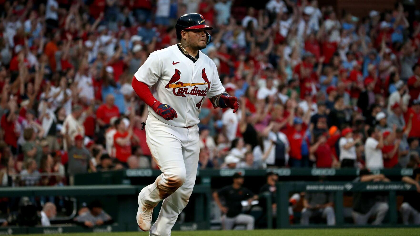 Cardinals catcher Yadier Molina is hit by a pitch in a rehab assignment