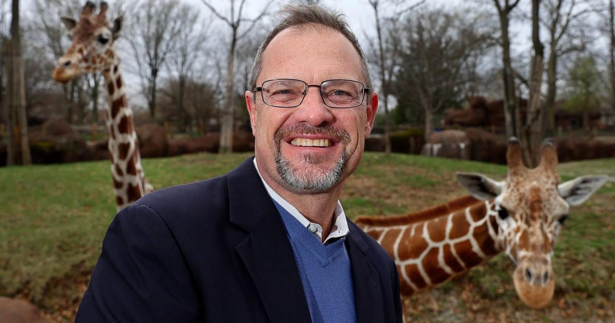 From keeper to CEO: Dwight Scott settles into new St. Louis Zoo role, considers it a homecoming | Lifestyles From keeper to CEO: Dwight Scott settles into new St. Louis Zoo role, considers it a homecoming | Lifestyles