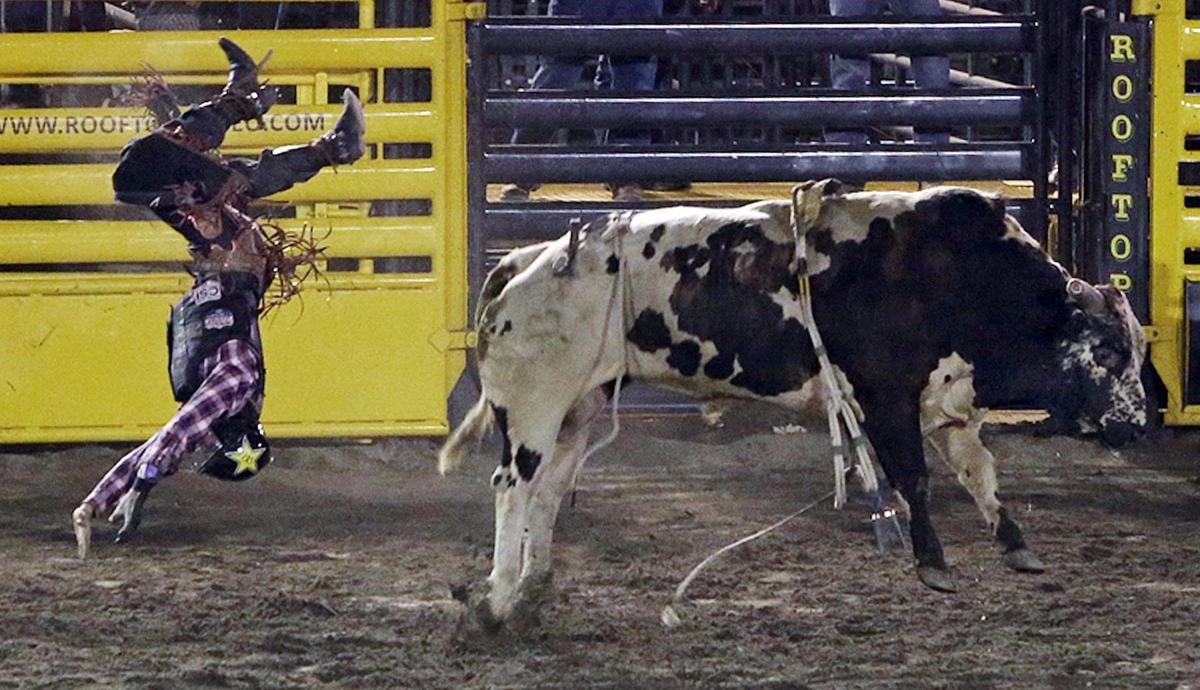 Annual Estes Park Rodeo draws big crowds