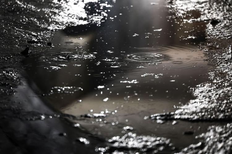 A look at the tunnels under Forest Park